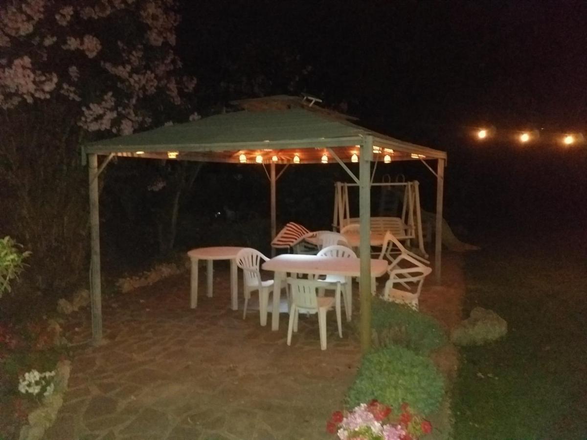 Garden Basement - Seminterrato Max 4 Ospiti - Fiumicino Vicino Aeroporto E Fiera Daire Dış mekan fotoğraf