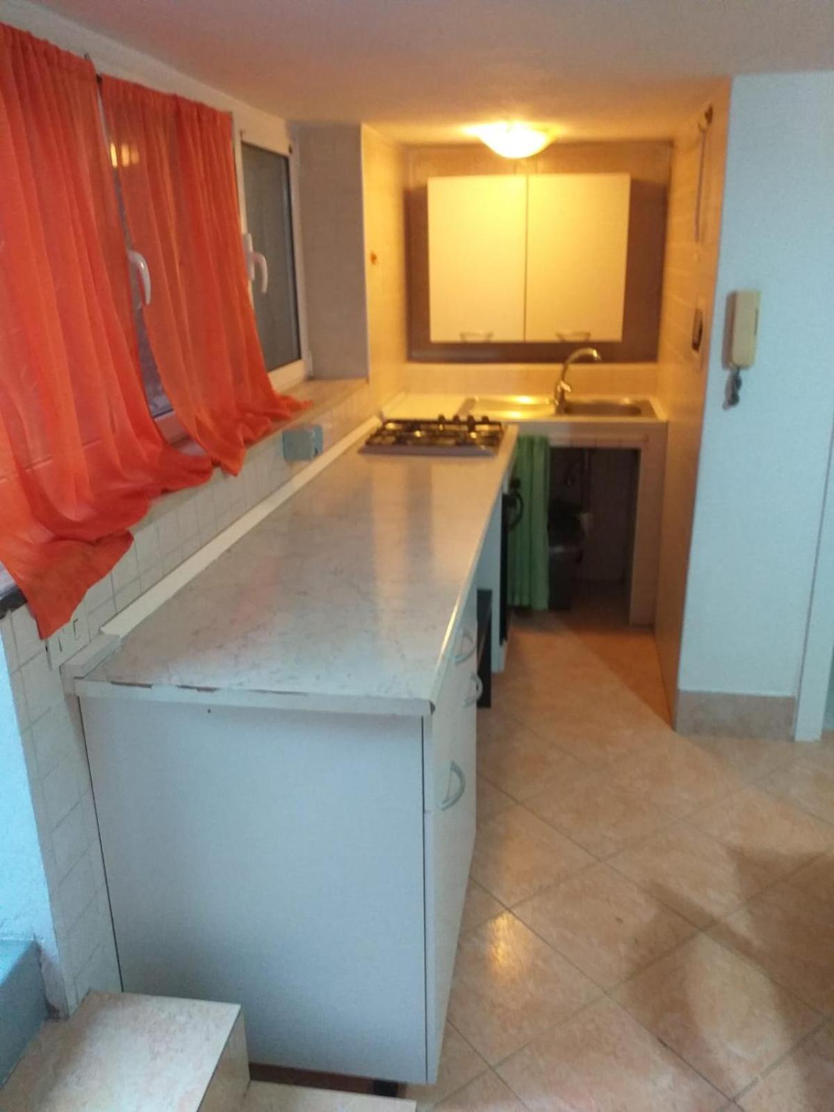 Garden Basement - Seminterrato Max 4 Ospiti - Fiumicino Vicino Aeroporto E Fiera Daire Dış mekan fotoğraf